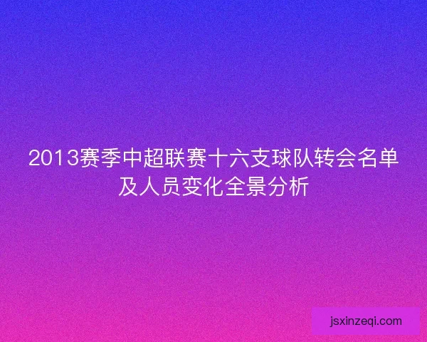 2013赛季中超联赛十六支球队转会名单及人员变化全景分析
